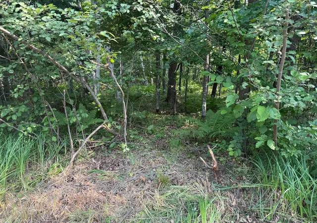 1st image of Tbd Woodstock, Sturgeon Lake, MN 55783 | MLS# 7122792
