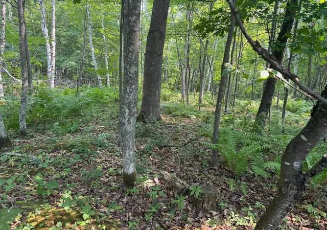 2nd image of Tbd Woodstock, Sturgeon Lake, MN 55783 | MLS# 7122792