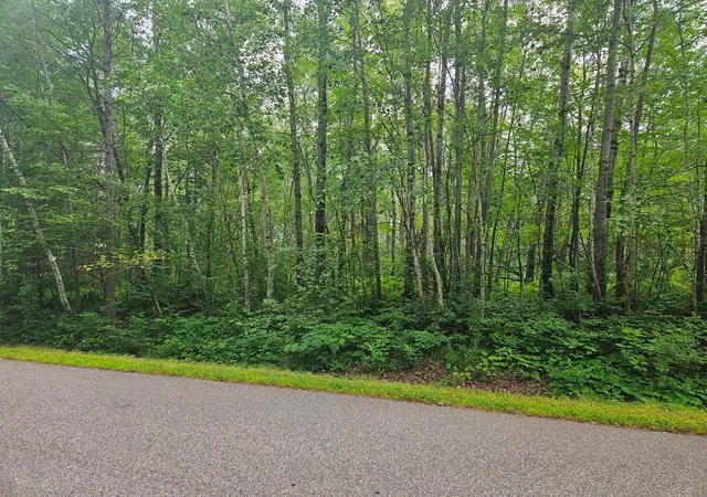 4th image of Lot 4 Blk 2 Sw 1St Ave, Grand Rapids, MN 55744 | MLS# 7122871