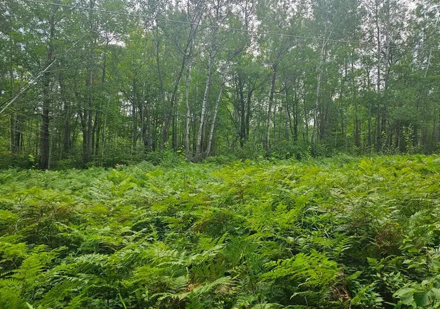 9th image of Lot 4 Blk 2 Sw 1st Ave, Grand Rapids, MN 55744 | MLS# 7122871