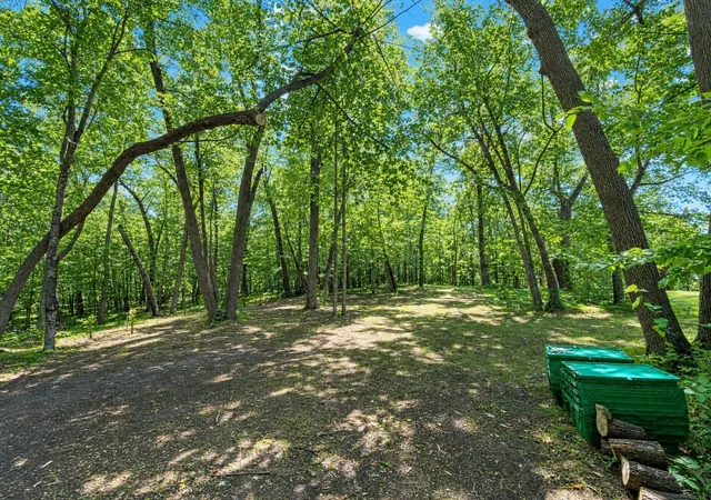 32nd image of 23794 State 87, Nevis, MN 56467 | MLS# 7122895