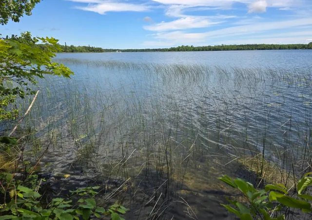 Photo 3 of Land for sale at Tbd N Moose Lake Rd Ne, Pennington, MN 56663 | MLS# 7122910 | Listing updated on 2026-10-04