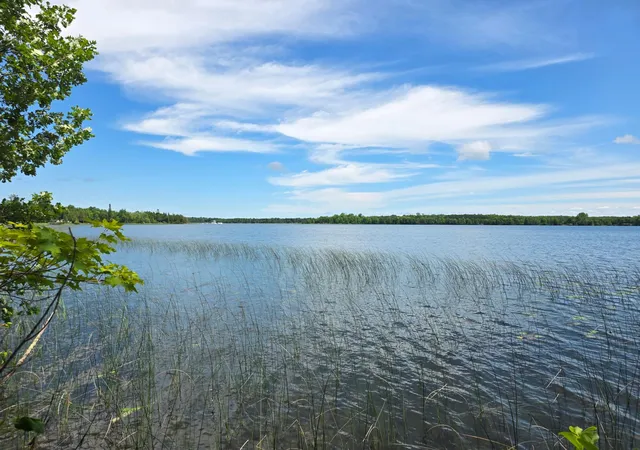 Photo 3 of Land for sale at Tbd N Moose Lake Rd Ne, Pennington, MN 56663 | MLS# 7122910 | Listing updated on 2026-10-04