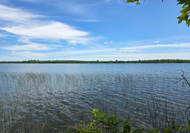 Photo 4 of Land for sale at Tbd N Moose Lake Rd Ne, Pennington, MN 56663 | MLS# 7122910 | Listing updated on 2026-10-04