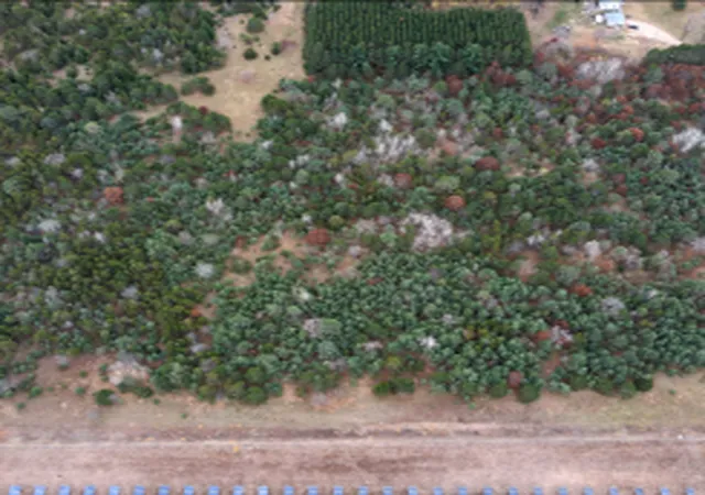 Photo 2 of Land for sale at Lot 2 Kable Ave, North Branch, MN 55056 | MLS# 7122999 | Listing updated on 2026-08-07