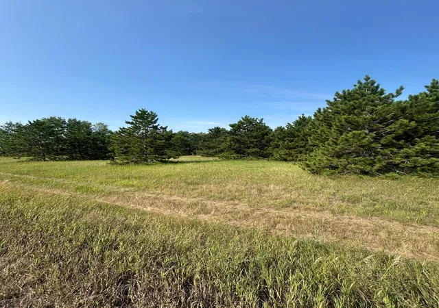 34th image of 417 Henrietta Ave N, Park Rapids, MN 56470 | MLS# 7123054