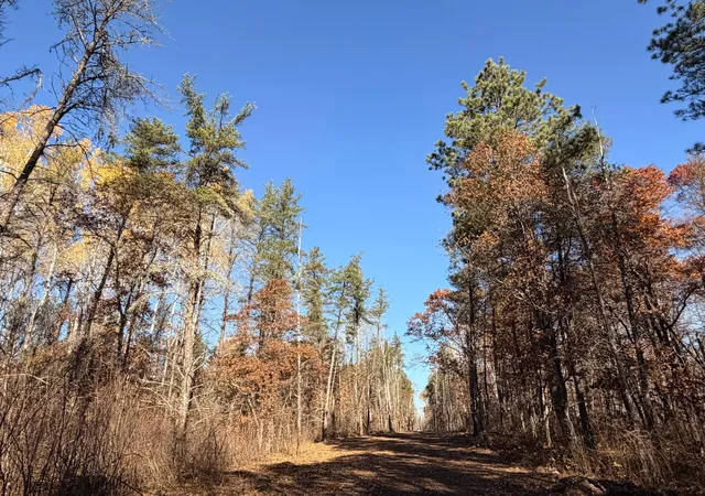 24th image of Lot F Sandbar Lane, Merrifield, MN 56465 | MLS# 7123067