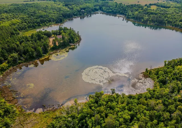 Photo 3 of Land for sale at 17907 County 81, Park Rapids, MN 56470 | MLS# 7123171 | Listing updated on 2026-08-18