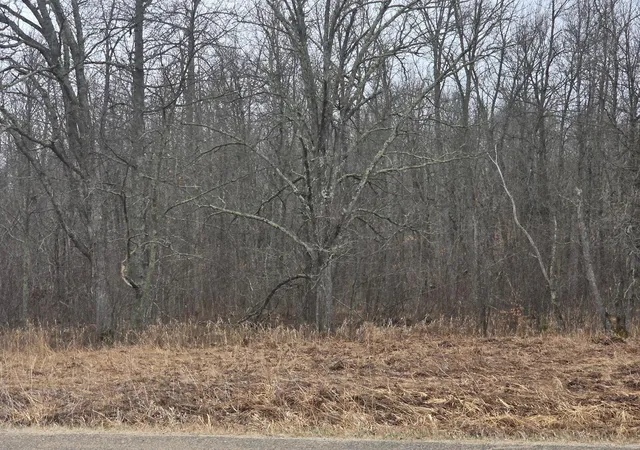 14th image of Tbd County 11, Longville, MN 56655 | MLS# 7123355