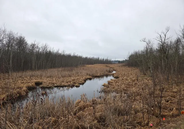 1st image of Tbd County 11, Longville, MN 56655 | MLS# 7123355