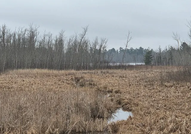 2nd image of Tbd County 11, Longville, MN 56655 | MLS# 7123355