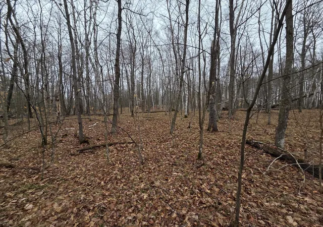 3rd image of Tbd County 11, Longville, MN 56655 | MLS# 7123355