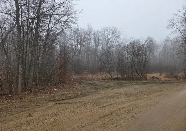 4th image of Tbd County 11, Longville, MN 56655 | MLS# 7123355