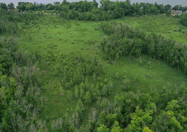 Photo 4 of Sale Pending at 33098 N Cotton Lake Rd, Rochert, MN 56578 | MLS# 7123381 | Listing updated on 2026-09-02