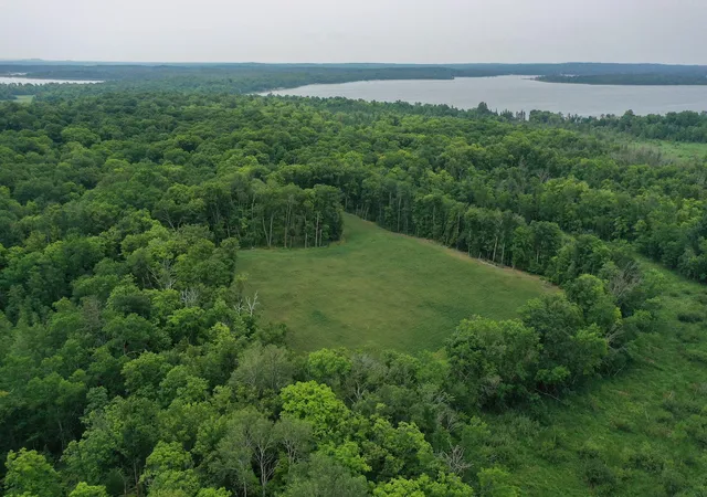 Photo 2 of Sale Pending at Tbd N Cotton Lake Rd, Rochert, MN 56578 | MLS# 7123384 | Listing updated on 2026-09-02