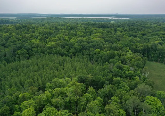 Photo 3 of Sale Pending at Tbd N Cotton Lake Rd, Rochert, MN 56578 | MLS# 7123384 | Listing updated on 2026-09-02