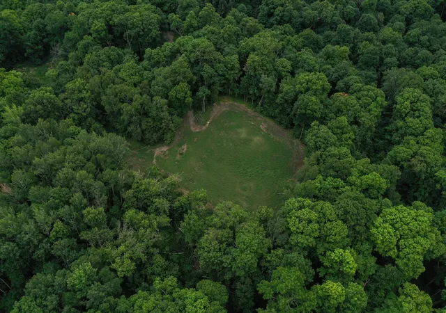 Photo 3 of Sale Pending at Tbd N Cotton Lake Rd, Rochert, MN 56578 | MLS# 7123384 | Listing updated on 2026-09-02