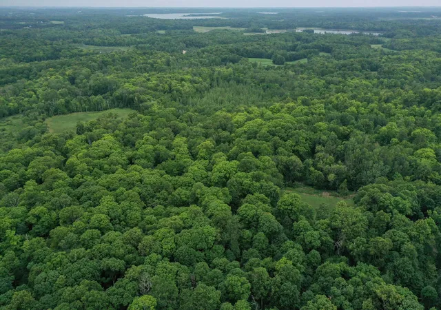 Photo 4 of Sale Pending at Tbd N Cotton Lake Rd, Rochert, MN 56578 | MLS# 7123384 | Listing updated on 2026-09-02