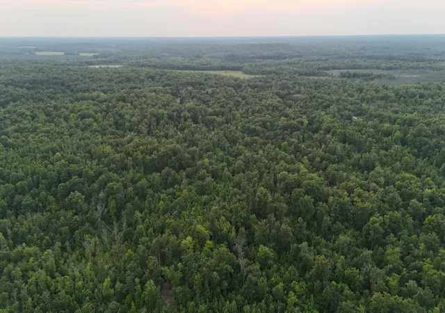 33rd image of 68xxx Old Ferry Rd, Hinckley, MN 55037 | MLS# 7123462