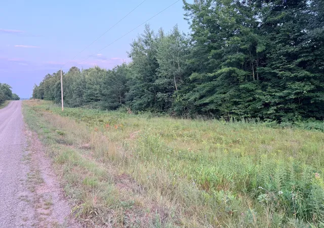Photo 3 of Land for sale at 68xxx Old Fry Rd, Hinckley, MN 55037 | MLS# 7123462 | Listing updated on 2026-09-30