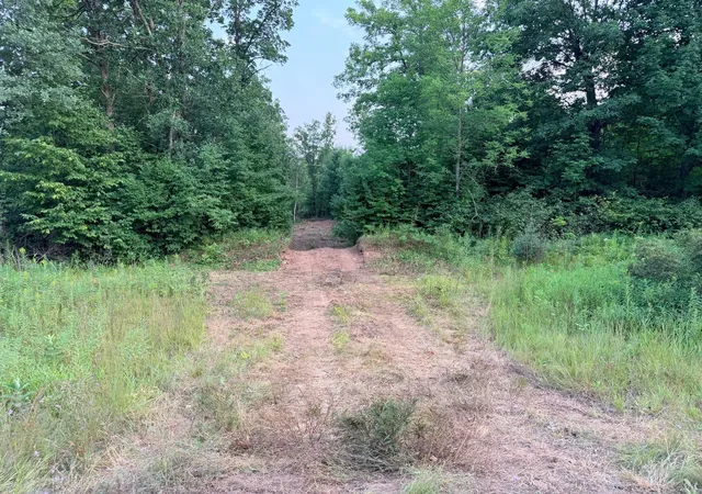 Photo 4 of Land for sale at 68xxx Old Fry Rd, Hinckley, MN 55037 | MLS# 7123462 | Listing updated on 2026-09-30