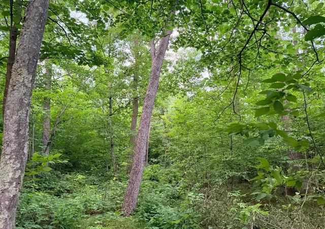 Photo 4 of Sale Pending at Tbd Old Fry Rd, Hinckley, MN 55037 | MLS# 7123509 | Listing updated on 2026-10-08