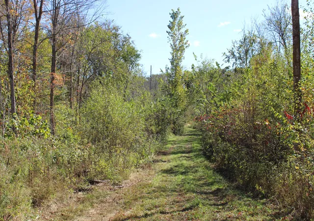 Photo 3 of Land for sale at Tbd Woods Rd, Isle, MN 56342 | MLS# 7123554 | Listing updated on 2026-08-18