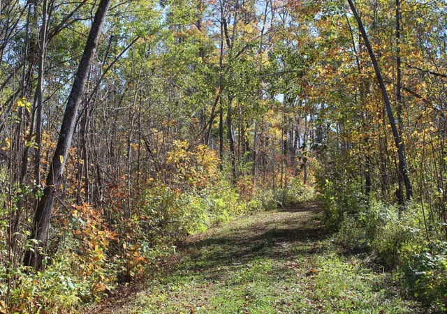 Photo 3 of Land for sale at Tbd Woods Rd, Isle, MN 56342 | MLS# 7123554 | Listing updated on 2026-08-18