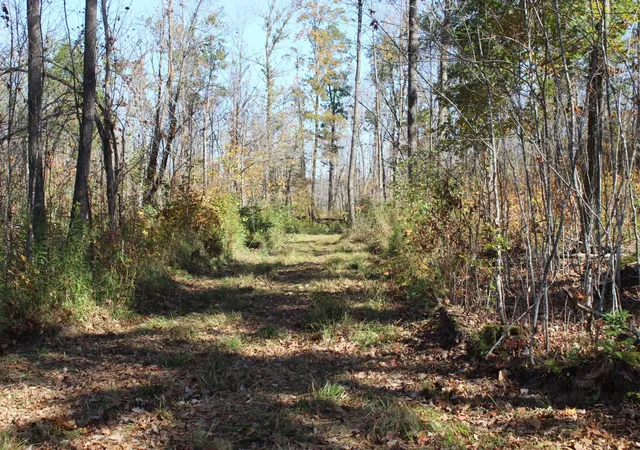 Photo 4 of Land for sale at Tbd Woods Rd, Isle, MN 56342 | MLS# 7123554 | Listing updated on 2026-08-18