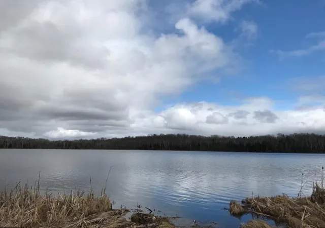 Photo 1 of Land for sale at Xxx Brandon Rd, Brookston, MN 55711 | MLS# 7123662 | Listing updated on 2026-08-24