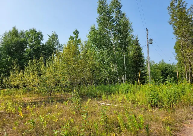 Photo 3 of Land for sale at Xxx Brandon Rd, Brookston, MN 55711 | MLS# 7123662 | Listing updated on 2026-08-24