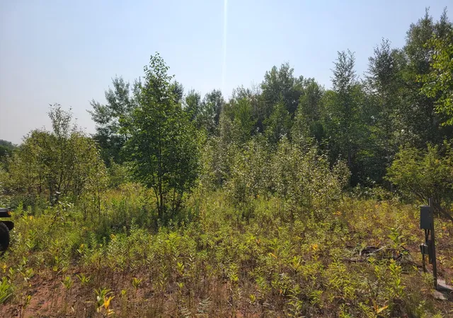 Photo 3 of Land for sale at Xxx Brandon Rd, Brookston, MN 55711 | MLS# 7123662 | Listing updated on 2026-08-24