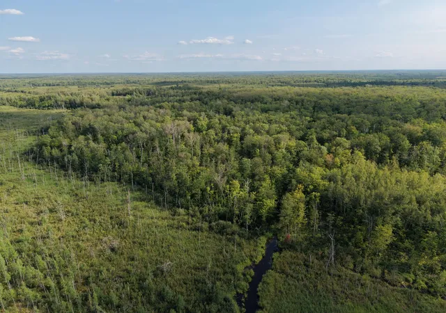 Photo 3 of Land for sale at Tbd State Hwy 27, Sturgeon Lake, MN 55783 | MLS# 7123704 | Listing updated on 2026-10-06