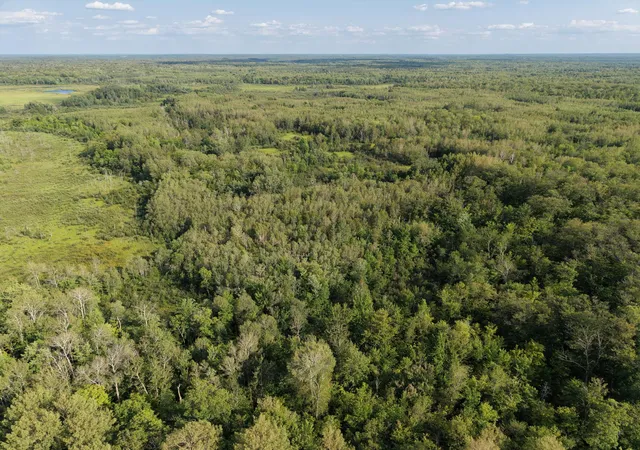 Photo 3 of Land for sale at Tbd State Hwy 27, Sturgeon Lake, MN 55783 | MLS# 7123704 | Listing updated on 2026-10-06