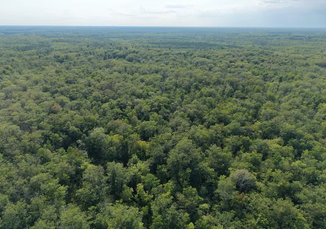 Photo 4 of Land for sale at Tbd State Hwy 27, Sturgeon Lake, MN 55783 | MLS# 7123704 | Listing updated on 2026-10-06