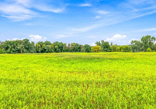 57th image of 33342 Marmoset St Nw, Princeton, MN 55371 | MLS# 7123715