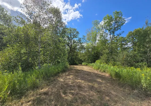 Photo 3 of Land for sale at 13769 188th Pl, Mc Grath, MN 56350 | MLS# 7123822 | Listing updated on 2026-08-28