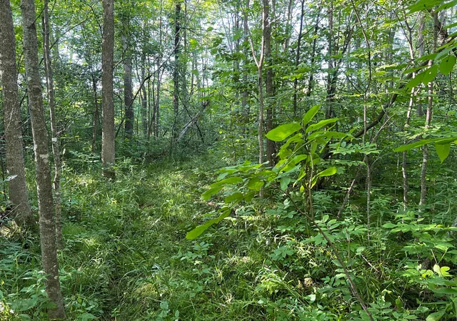 5th image of 000 Beroun Crossing Rd, Brook Park, MN 55007 | MLS# 7123967