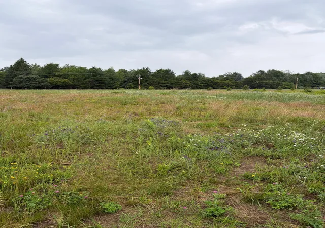1st image of 825 174th Ave Ne, Andover, MN 55304 | MLS# 7124092