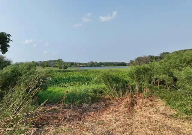 10th image of Xxx 400th Ave, Evansville, MN 56326 | MLS# 7124332