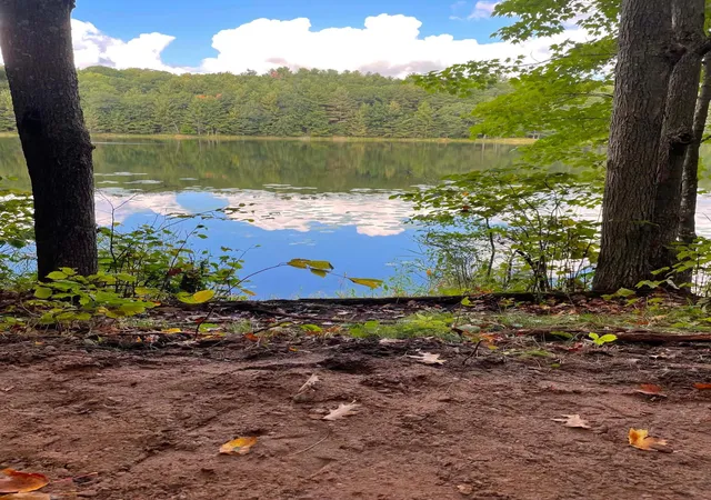 Photo 2 of Land for sale at 296 26 1/8 Ave, Cumberland, WI 54829 | MLS# 7124430 | Listing updated on 2026-09-24