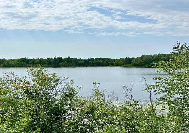 5th image of 44616 Mcgrady Trl, Nashwauk, MN 55769 | MLS# 7124544