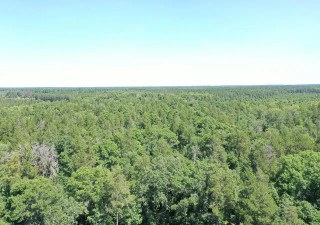 3rd image of 14688 Oeltjen Rd, Grantsburg, WI 54840 | MLS# 7124574