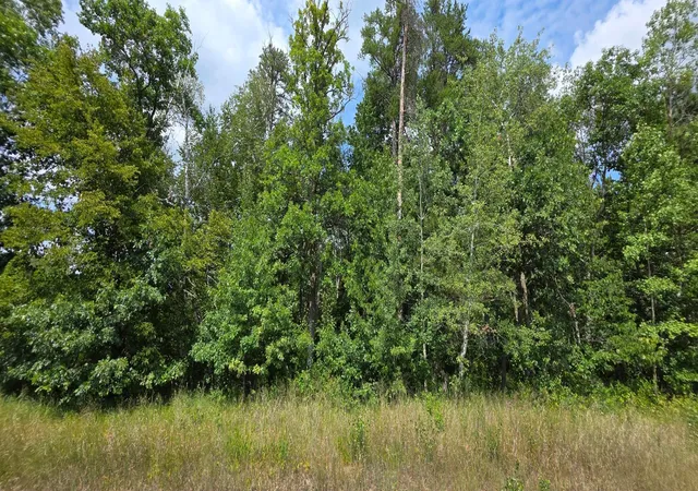 4th image of Tbd Peony Ln, Breezy Point, MN 56472 | MLS# 7124632