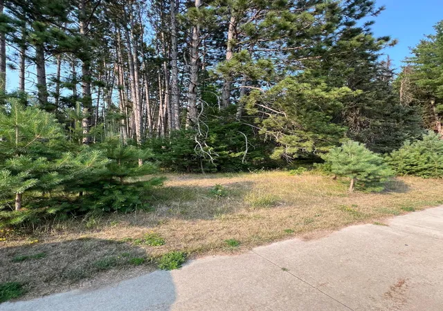 Photo 3 of Land for sale at Tbd Ridgwood, Grand Rapids, MN 55744 | MLS# 7124661 | Listing updated on 2026-08-20