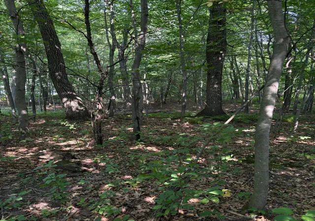 Land for sale at Tbd 366Th St, North Branch, MN 55056 | MLS# 7124753