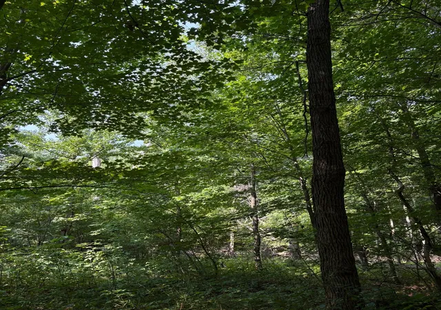Photo 2 of Land for sale at Tbd 366th St, North Branch, MN 55056 | MLS# 7124753 | Listing updated on 2026-08-24