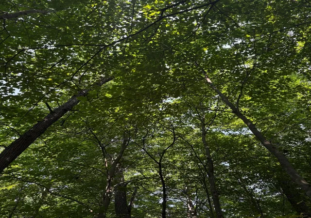 Photo 3 of Land for sale at Tbd 366Th St, North Branch, MN 55056 | MLS# 7124753 | Listing updated on 2026-08-24