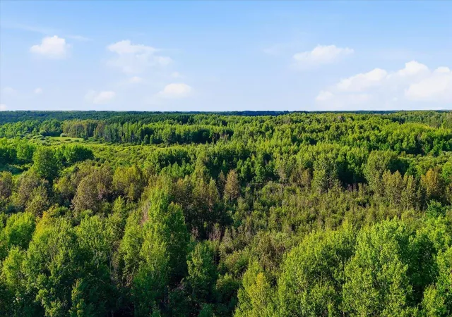 14th image of Tbd County Road 156, Kettle River, MN 55757 | MLS# 7124804