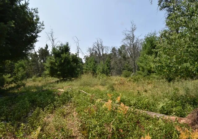 13th image of Lot 1 Pleasant Acres Trl, Danbury, WI 54830 | MLS# 7124867